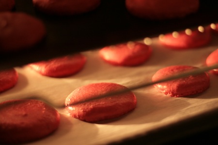 macarons_v3_2.jpg