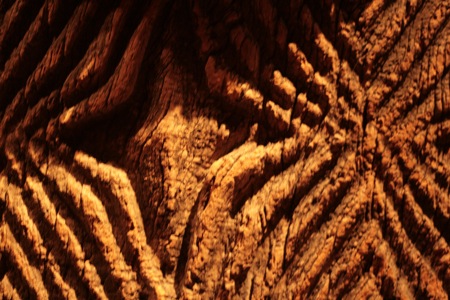 branly_6.jpg