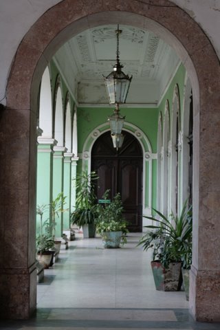 IMG_4462.JPG